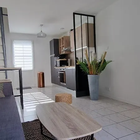 En Hyper Centre, Logement Climatise Entierement Renove! Netflix - Amazon Prime - Terrasse - Le Nature Zen Surgères Exterior foto